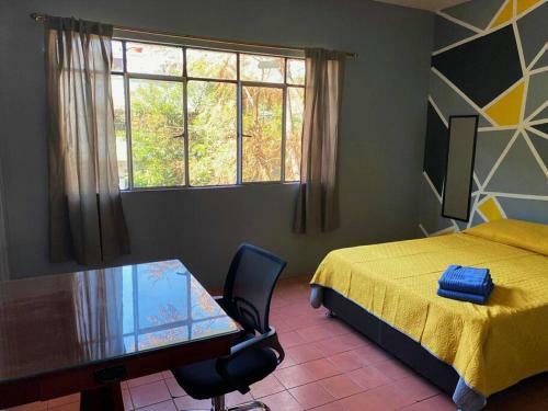 Apartamento Casa En Chapultepec Grande Y Con Gran Patio.