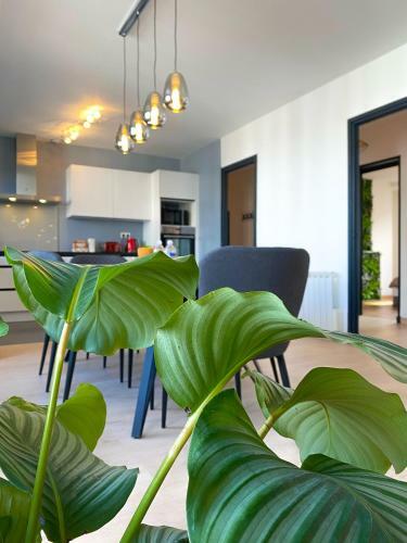 Apartamento Le Carre Noyon Gare