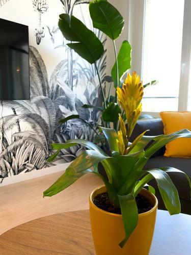 Apartamento Le Carre Noyon Gare