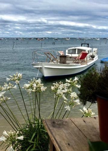 Gite Jardin/terrasse Cosy Pres Plages
