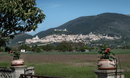 Bed & Breakfast Camere Mariella