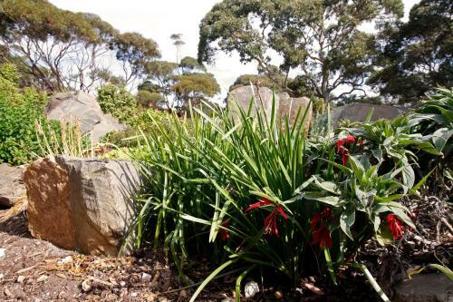 Cape Jervis Holiday Units