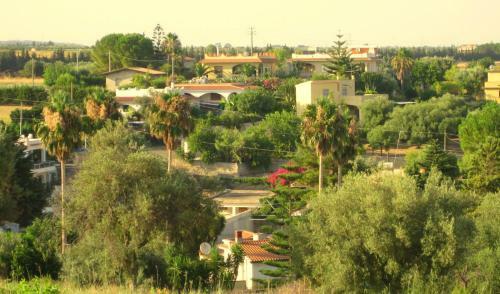 Avolamare: Apartment Il Mandarino.