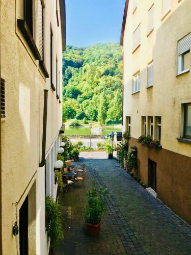 Apartamento Ferienwohnung In Ediger Eller