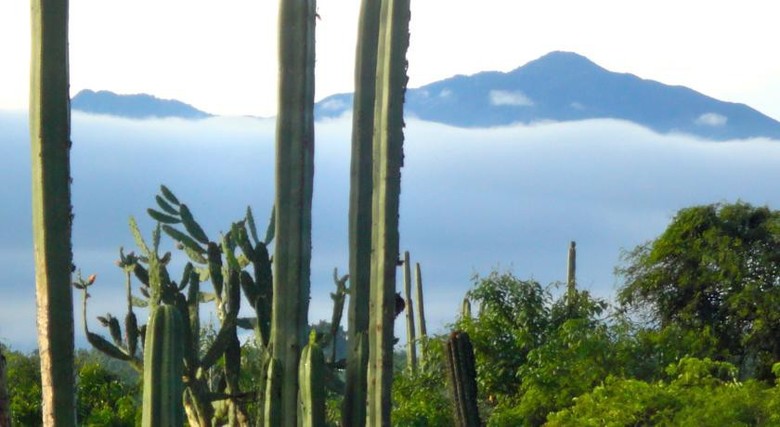 Lodge Rancho Pitaya B & B