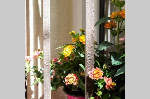 Luxurious 2-beds House In Old Antibes, Terrace