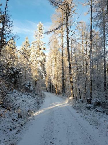 Apartamento Fr�nkische Linie - Radspitz-ferienwohnungen