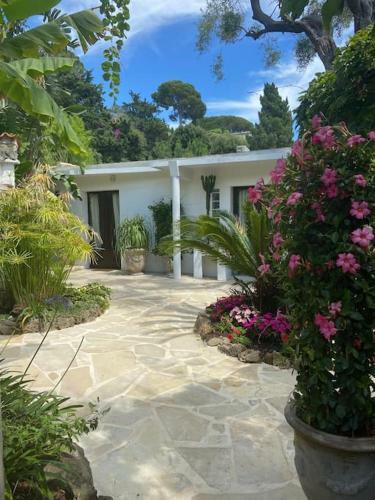 Villa Cap D'antibes 50m From The Beach 3 Bedrooms/pool