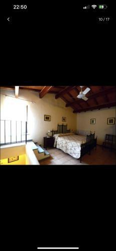 B&B Il Girasole E Il Tulipano