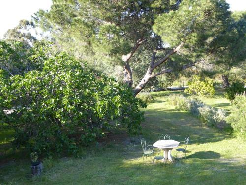 Mas Paret Appartement Dans Parc Arbor�