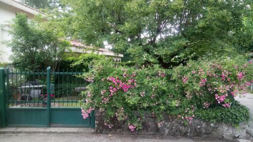 Casa Bartolacci Cozy Apartment (near Florence City Center)