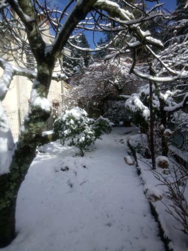Casa Bartolacci Cozy Apartment (near Florence City Center)