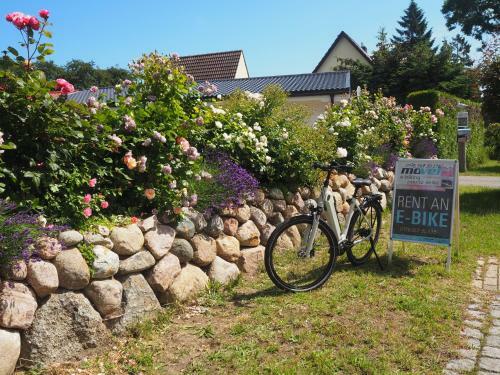 Apartamento Strandapartment Zingst - Direkt Am Meer