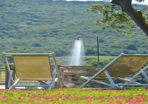 Villa Guardistallo By Mc Luxury Rentals