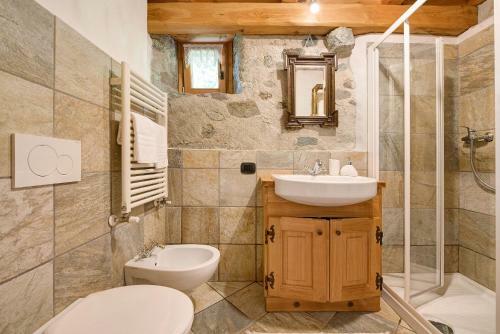 Chalet Bio Wild