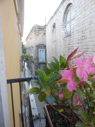 Bed & Breakfast Palazzo Antica Via Appia