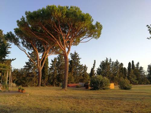 Apartamento Le Grascete