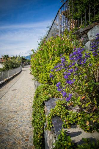 Apartamento Maison Casa Lavanda