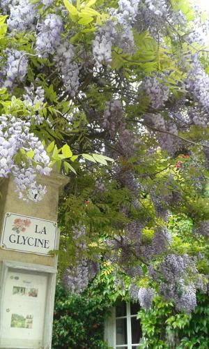 Hostal La Glycine