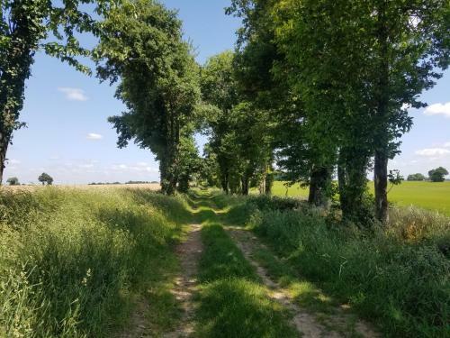 La Vieille Gorce - Gites & Bb In The Vienne