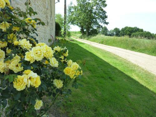 Bed & Breakfast La Vieille Gorce Gites & Chambres D'hotes
