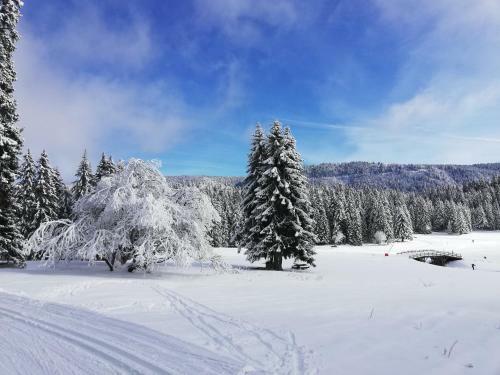 Ferme Des Deux Fr�res, Autrans, Vercors