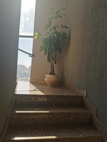 Apartamento Brigida 5