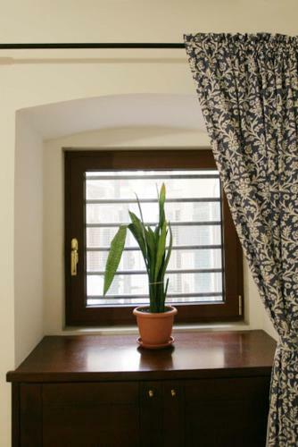 Hostal Corte Trecantaia 11 Holiday