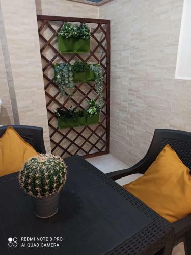 Apartamento Appartamento Con Cortile A 30 Mt. Dal Mare