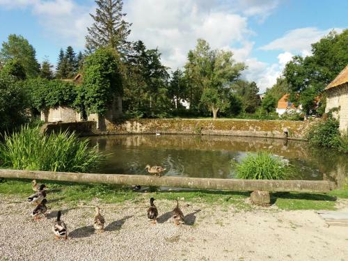 Bed & Breakfast Petit Manoir De La Berthenlaire