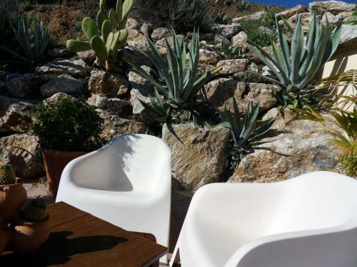 Bed & Breakfast | Guest House Casa Don Carlos