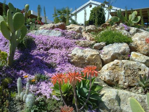Bed & Breakfast | Guest House Casa Don Carlos