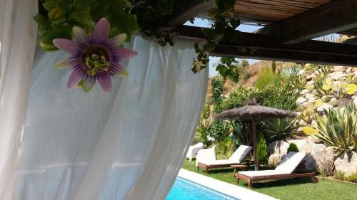 Bed & Breakfast | Guest House Casa Don Carlos