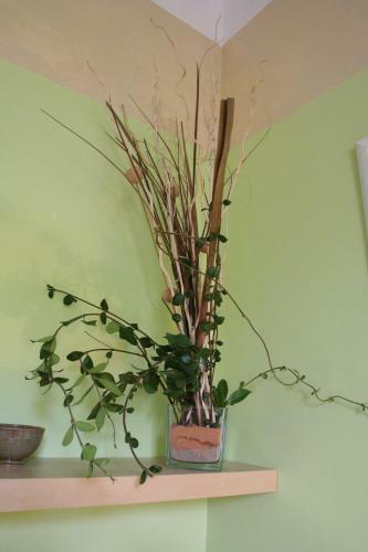 Bed & Breakfast Le Mas Des Dames Appartement