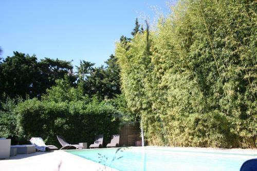 Bed & Breakfast Le Mas Des Dames Appartement