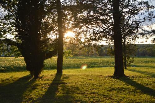 Bed & Breakfast Les Loups Dans La Bergerie
