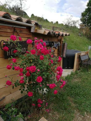 Bed & Breakfast Gite Campagnard