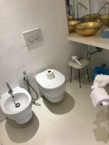 Bed & Breakfast Domus Dotta