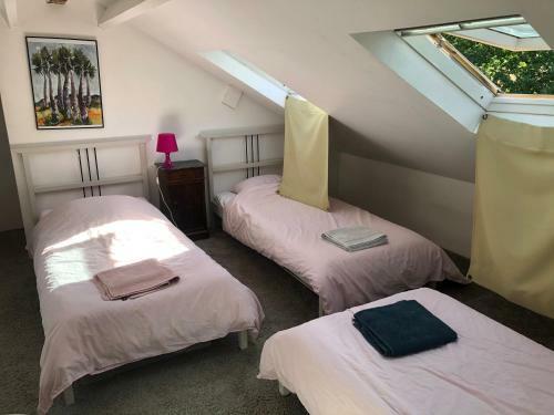 L'appel De La For�t 51