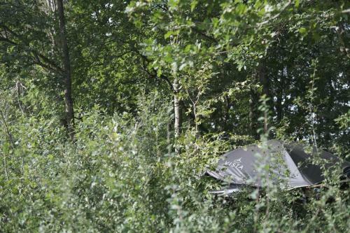 L'appel De La For�t 51