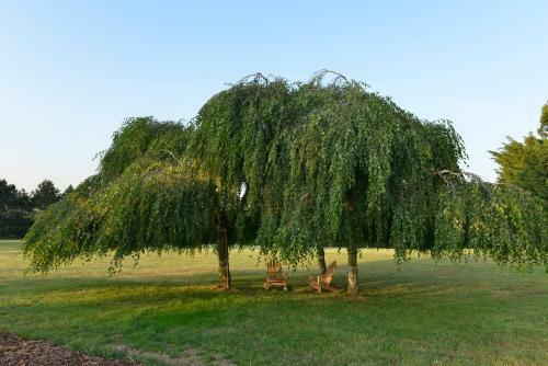 Bed & Breakfast Maison D'h�tes Les Jardins De Madeleine