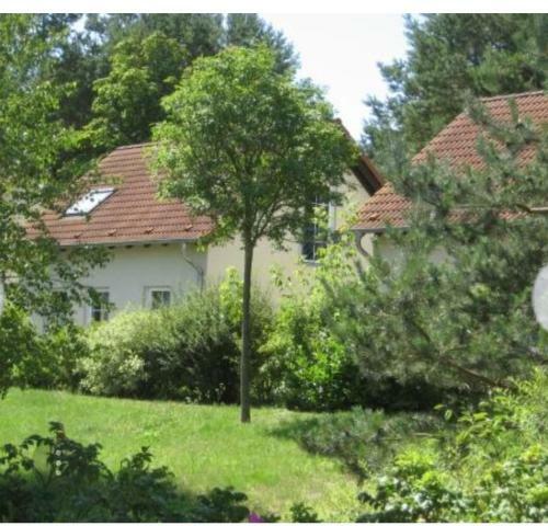 Apartamento Zum Waldblick