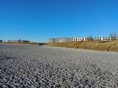 Apartamento Ferienwohnung Seestern 2 Zi. 49m� Eg Bis 4 Pers. Bk Wlan