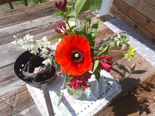 Ferienh�uschen In Niedernsill/zell Am See