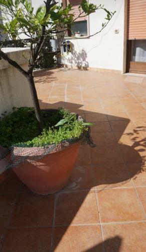 Apartamento Casa Marina