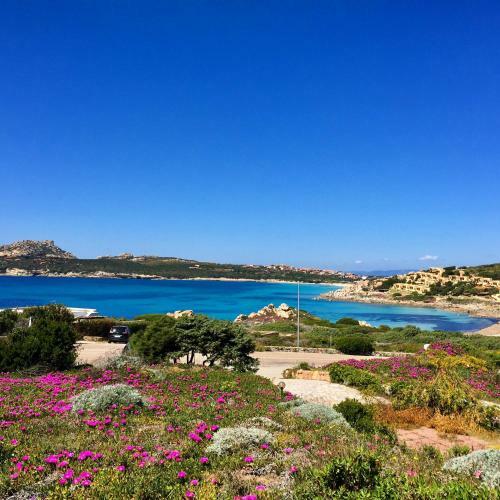 Apartamento Appartamento Incantevole Con Vista Mare