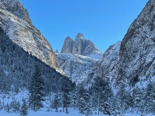 Apartamento Villa Maria Dolomites Vintage Home