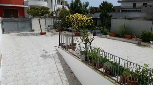 A Casa Di Leo ? Leo?s House ? Chez L�o