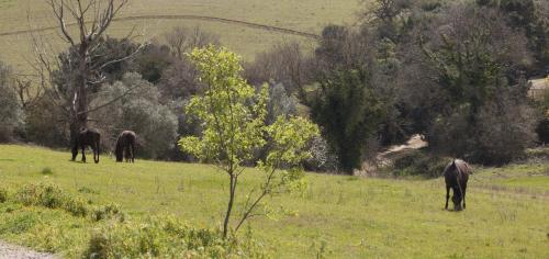 Agroturismo La Fondona
