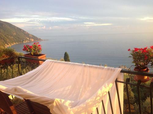 B&B Case Rosse